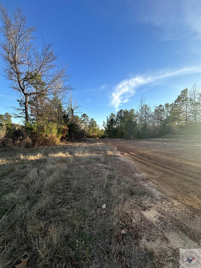 TBD Fm 248, Bivins, TX 75555 - photo 13