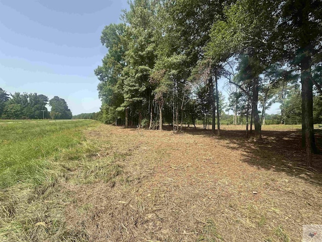 TBD Fm 248, Bivins, TX 75555 - photo 9