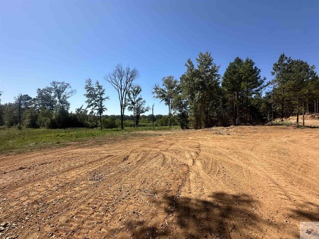 TBD Fm 248, Bivins, TX 75555 - photo 6