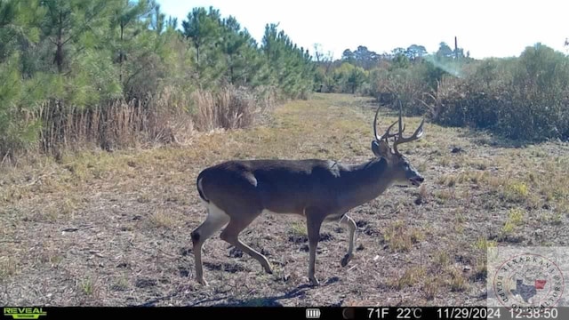 TBD Fm 248, Bivins, TX 75555 - photo 19