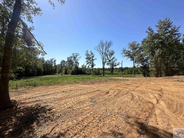 TBD Fm 248, Bivins, TX 75555 - photo 7