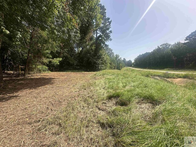 TBD Fm 248, Bivins, TX 75555 - photo 10