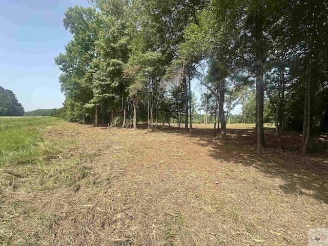 TBD Fm 248, Bivins, TX 75555 - photo 8
