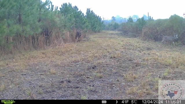 TBD Fm 248, Bivins, TX 75555 - photo 20