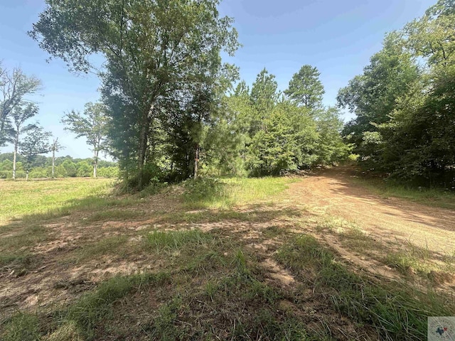 TBD Fm 248, Bivins, TX 75555 - photo 12