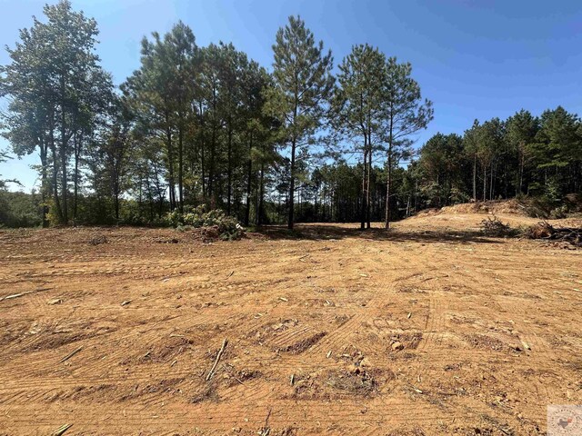 TBD Fm 248, Bivins, TX 75555 - photo 1
