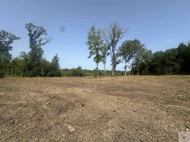 TBD Fm 248, Bivins, TX 75555 - photo 4