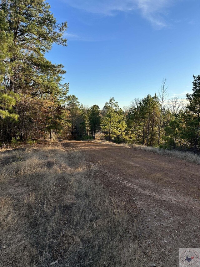 TBD Fm 248, Bivins, TX 75555 - photo 14