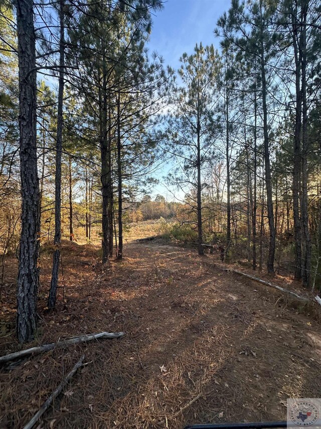 TBD Fm 248, Bivins, TX 75555 - photo 15