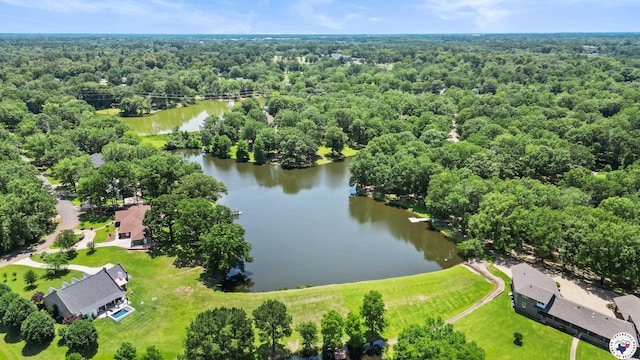 905 Lakeridge Ln, Texarkana, TX 75503 - aerial view of a forest and a large body of water