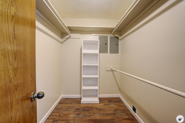 walk in closet featuring wood finished floors and electric panel