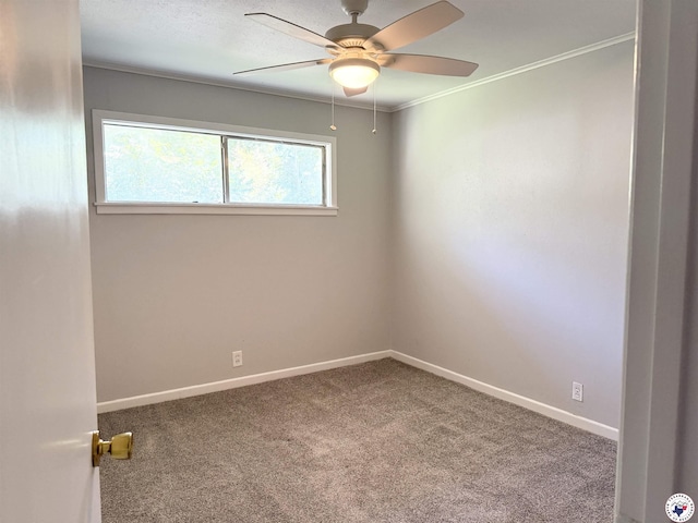 2305 Cherry Hill Rd, Texarkana, TX 75503 - photo 15