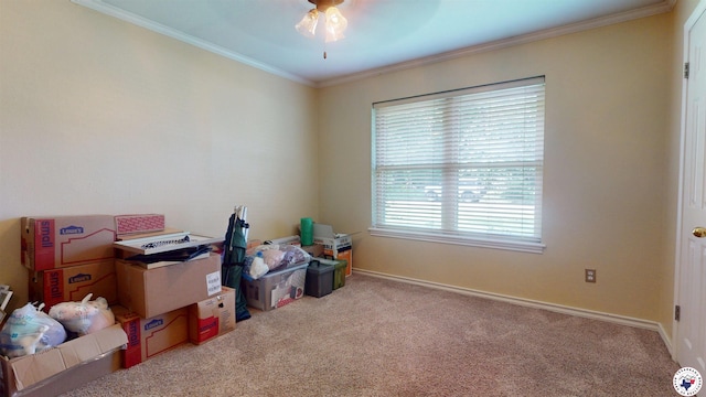 6010 Shadyside Ln, Texarkana, TX 75503 - empty room featuring carpet floors, ceiling fan, ornamental molding, and baseboards