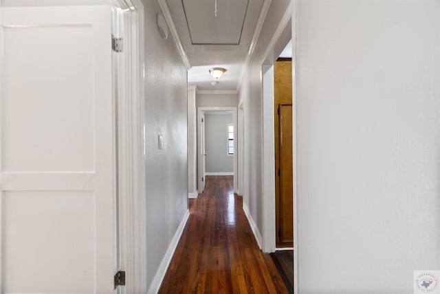 hallway featuring ornamental molding and dark hardwood / wood-style floors