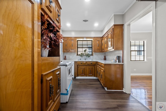 kitchen featuring decorative backsplash, plenty of natural light, white electric stove, and dark wood-type flooring