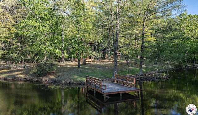 view of dock featuring a water view