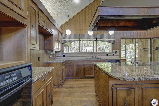 kitchen featuring light wood-style flooring, black appliances, lofted ceiling, a sink, and ventilation hood