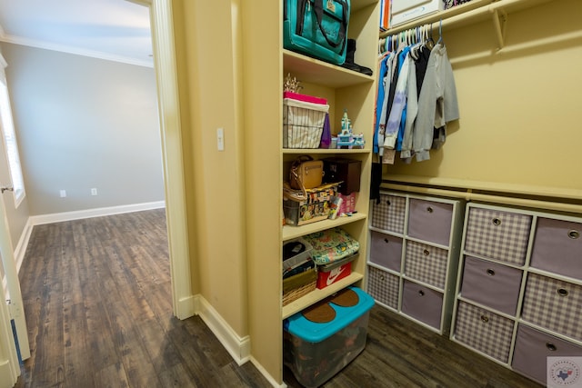 walk in closet featuring dark wood-type flooring