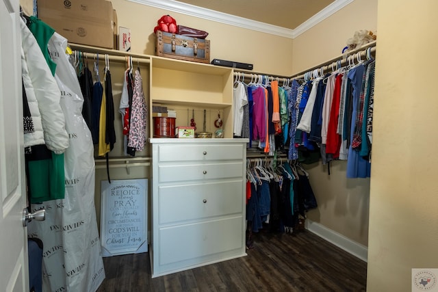 spacious closet with dark hardwood / wood-style flooring