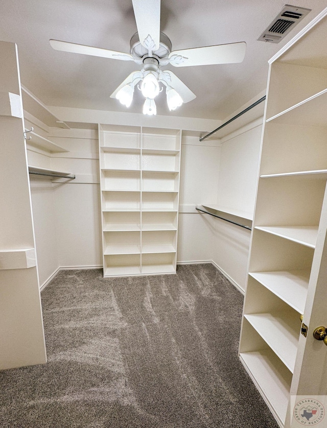 spacious closet featuring ceiling fan and carpet