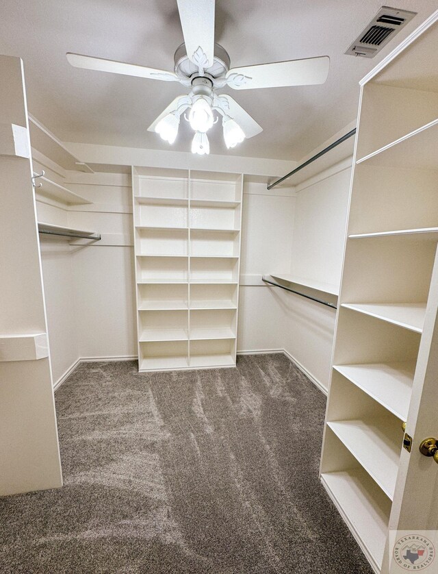 spacious closet featuring ceiling fan and carpet