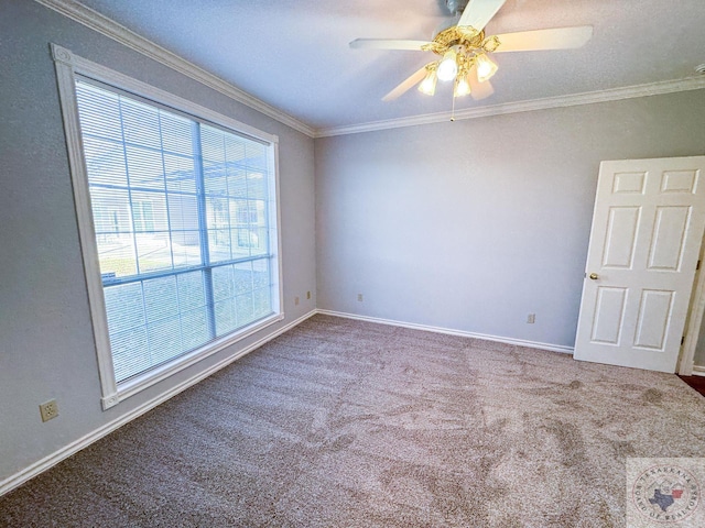 spare room with ceiling fan, carpet flooring, and crown molding