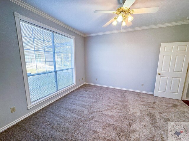 spare room with ceiling fan, carpet flooring, and crown molding