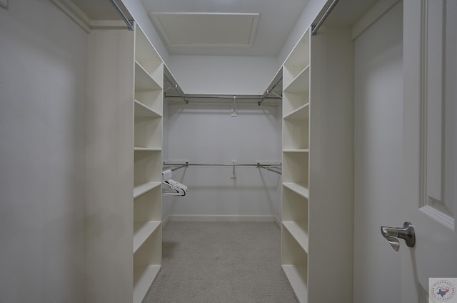 walk in closet featuring attic access and carpet