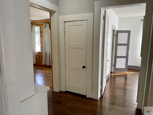 hall featuring dark hardwood / wood-style floors