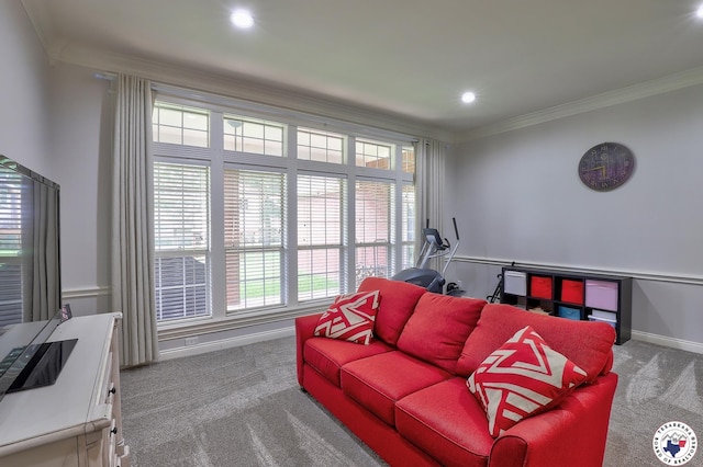 16 Bill Rogers Dr, Texarkana, TX 75503 - living room with carpet flooring, ornamental molding, healthy amount of natural light, and recessed lighting