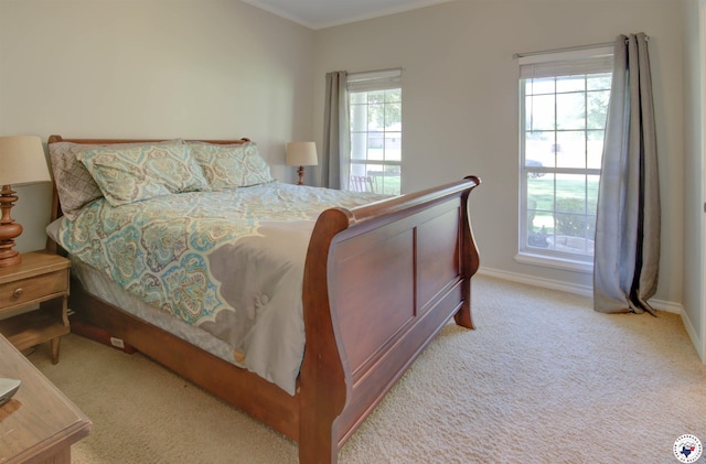 14 White Willow Pl, Texarkana, AR 71854 - carpeted bedroom with multiple windows