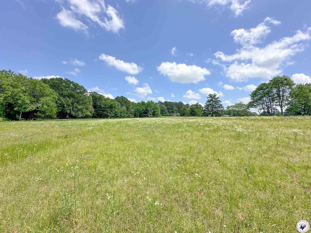 TBD County Road 3347, Omaha, TX 75571
