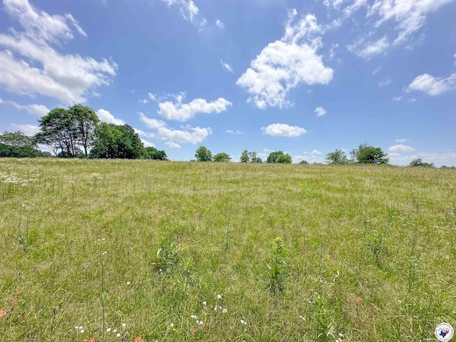 TBD County Road 3347, Omaha, TX 75571
