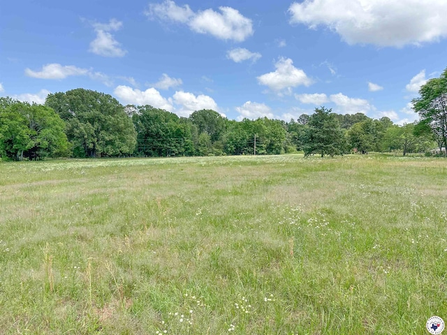 TBD County Road 3347, Omaha, TX 75571