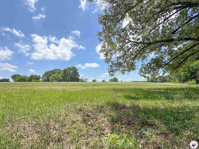 TBD County Road 3347, Omaha, TX 75571