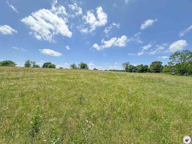 TBD County Road 3347, Omaha, TX 75571