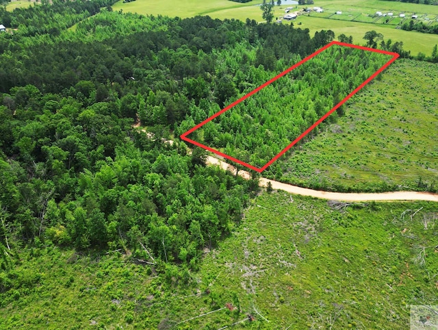 TBD Mc 77, Doddridge AR, 71854 land for sale