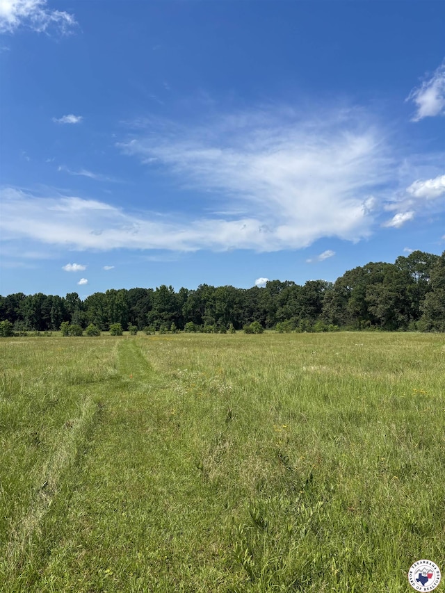 18.02AC Daniels Chapel Rd, New Boston, TX 75570 - photo 11