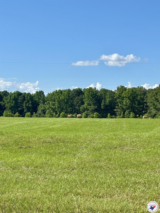 18.02AC Daniels Chapel Rd, New Boston, TX 75570 - photo 9