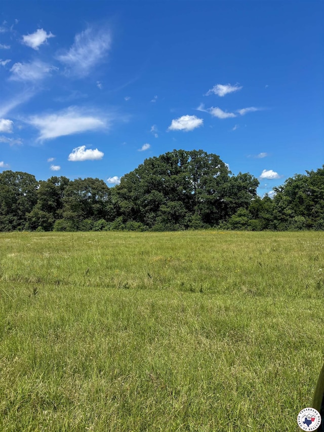 18.02AC Daniels Chapel Rd, New Boston, TX 75570 - photo 3