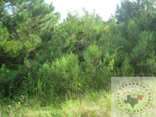 Listing photo 3 for TBD Sugarhill Rd, Texarkana AR 71854