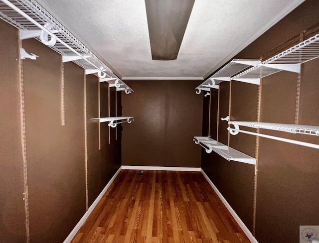 spacious closet with wood-type flooring