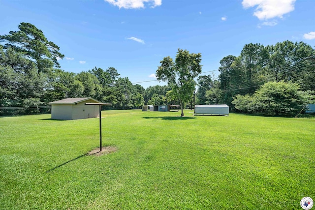 6514 Buchanan Loop, Texarkana, TX 75501 - view of green lawn featuring a storage shed and view of wooded area