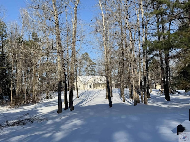 view of snowy yard