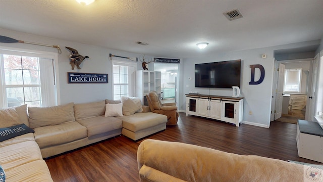 living room featuring dark hardwood / wood-style flooring and a textured ceiling