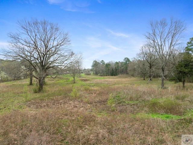 view of local wilderness featuring a rural view