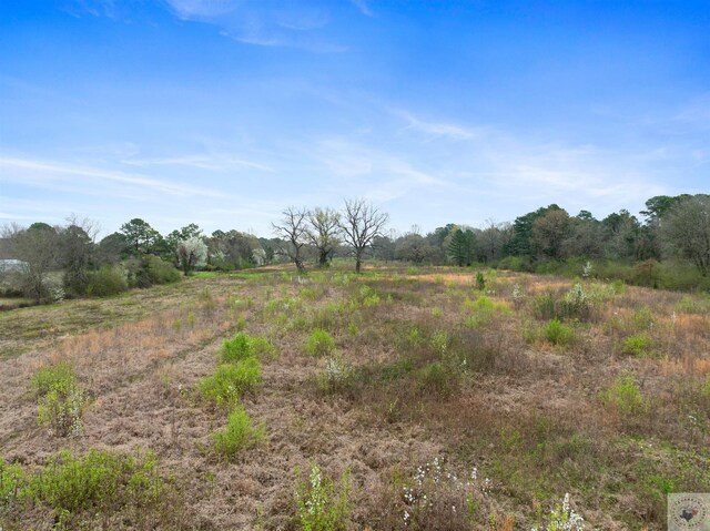 view of nature featuring a rural view