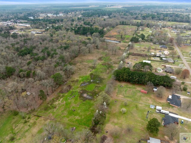 drone / aerial view