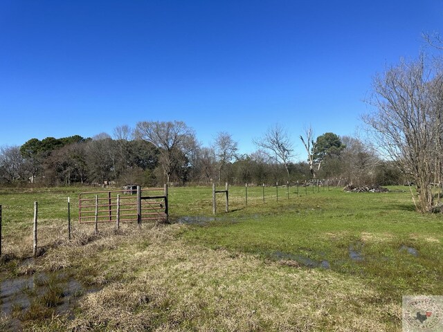 view of yard with a rural view