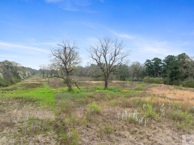 view of landscape featuring a rural view